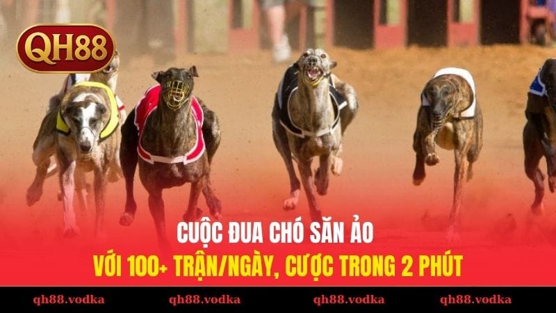 Cuộc Đua Chó Săn Ảo Với 100+ Trận/Ngày, Cược Trong 2 Phút